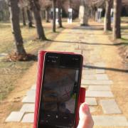 Auf dem Anstaltsfriedhof Großschweidnitz mit dem Audioguide unterwegs (StSG/GSGS)