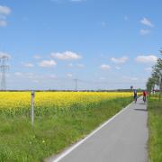 Radtour entlang der Gohrischheide (© Archiv GSEZ)