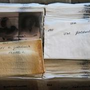 Blick in die Sammlung (© Silvia Hauptmann)