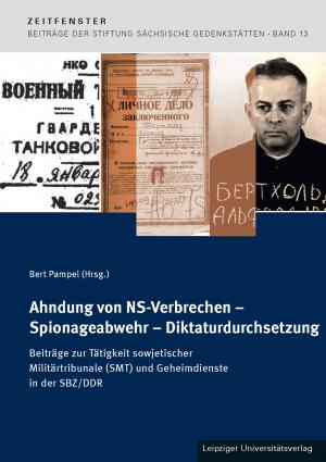 Vorderumschlag Publikation Zeitfenster Bd. 13