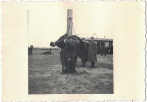 Bestrafung sowjetischer Kriegsgefangener im Lager Zeithain