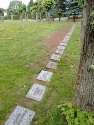 Blick vom Denkmal in Richtung Pathologie